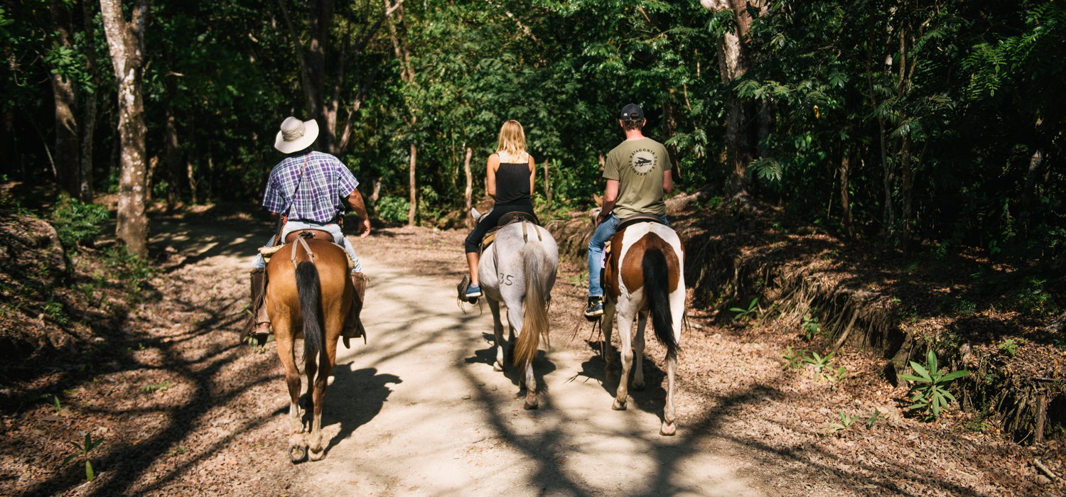 Costa Rica Horseback RidingTour